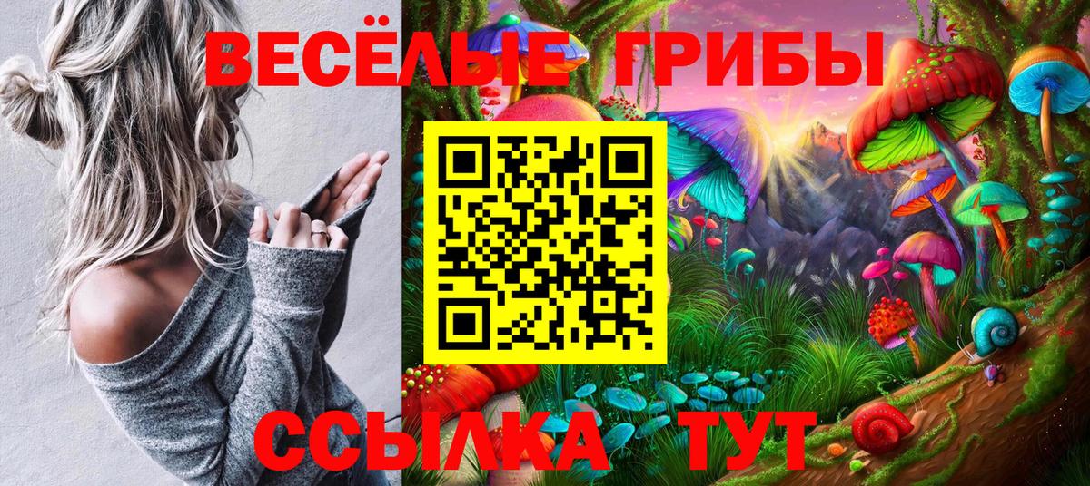 Галлюциногенные грибы мицелий  Вход с VPN  Канск 