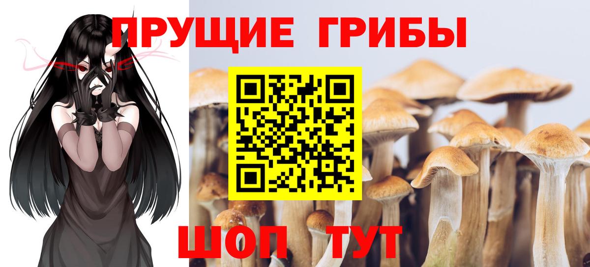 Галлюциногенные грибы прущие грибы Канск